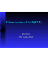 Enterocutaneous Fistula(ECF) cover