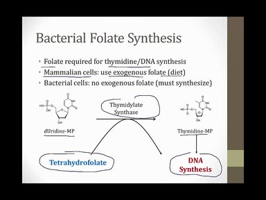 3. Sulfonamides video thumbnail