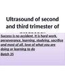 ULTRASOUND OF SECOND AND THIRD TRIMESTER OF PREGNANCY cover