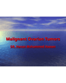 INVESTIGATIONS cover
