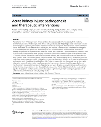 ACUTE KIDNEY INJURY: PATHOGENESIS AND THERAPEUTIC INTERVENTIONS cover