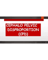 Cephalopelvic Disproportion (CPD): Diagnosis and Intrapartum Management cover