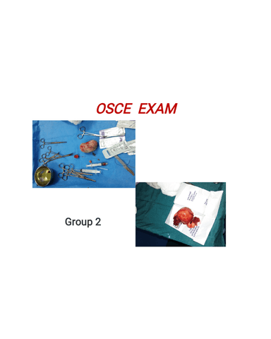 Obstetrics & Gynaecology Clinical OSCE Examination (Group 2) cover