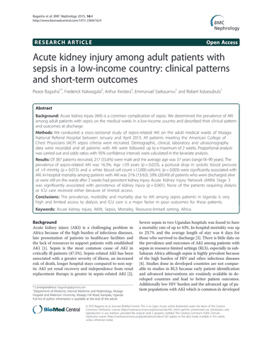 ACUTE KIDNEY INJURY AMONG ADULT PATIENTS WITH SEPSIS IN A LOW-INCOME COUNTRY: CLINICAL PATTERNS AND SHORT-TERM OUTCOMES cover