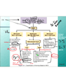 CLASSIFICATION OF ANEMIAS BASED ON MCV cover