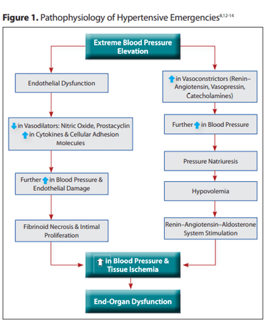 HYPERTENSIVE EMERGENCIES cover