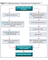 HYPERTENSIVE EMERGENCIES cover