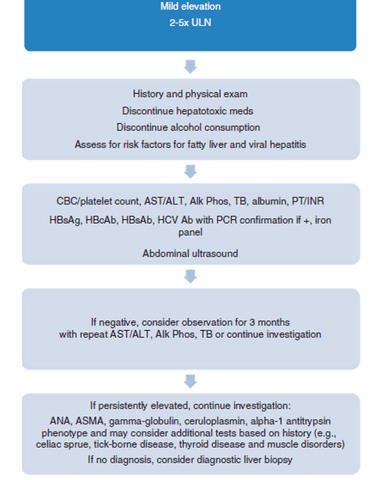 APPROACH TO A PATIENT WITH ELEVATED LIVER ENZYMES cover