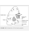 PARKINSON DISEASE cover