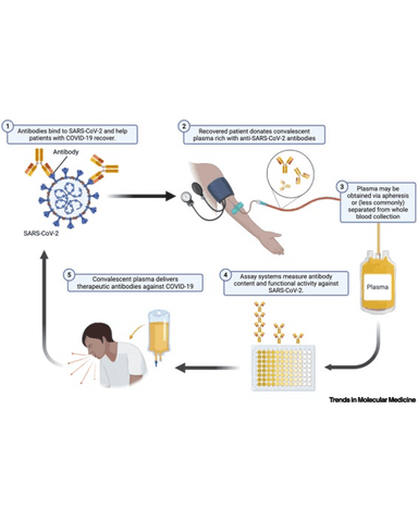 RNA VIRUSES cover