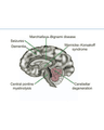 NEUROTOXICITY: TOXIC SUBSTANCES AND THEIR IMPACT ON THE BRAIN cover