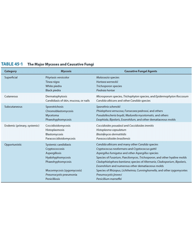 CLASSIFICATION OF INFECTIOUS DISEASES CAUSED BY FUNGI, PROTOZOA AND PRION cover