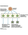 DRUG INDUCED LUPUS ERYTHEMATOSUS cover