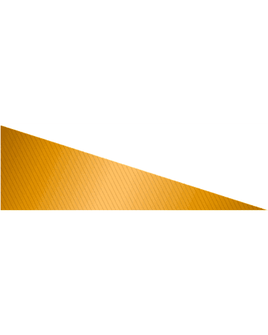 GENERALIST PALLIATIVE CARE cover