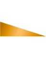 GENERALIST PALLIATIVE CARE cover