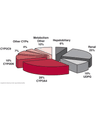 HEPATIC IMPAIRMENT cover