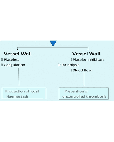 APPROACH TO A BLEEDING PATIENT cover
